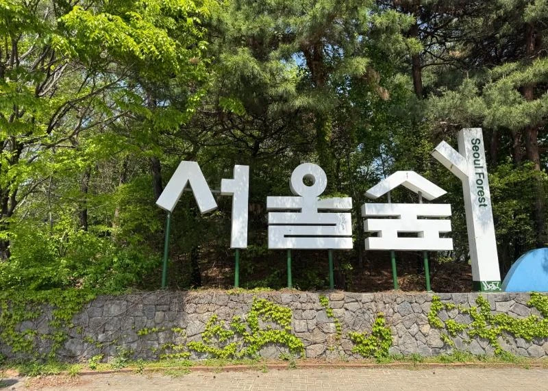 首尔林官方资料图；季节花期与树叶颜色不保证旅行日相同。