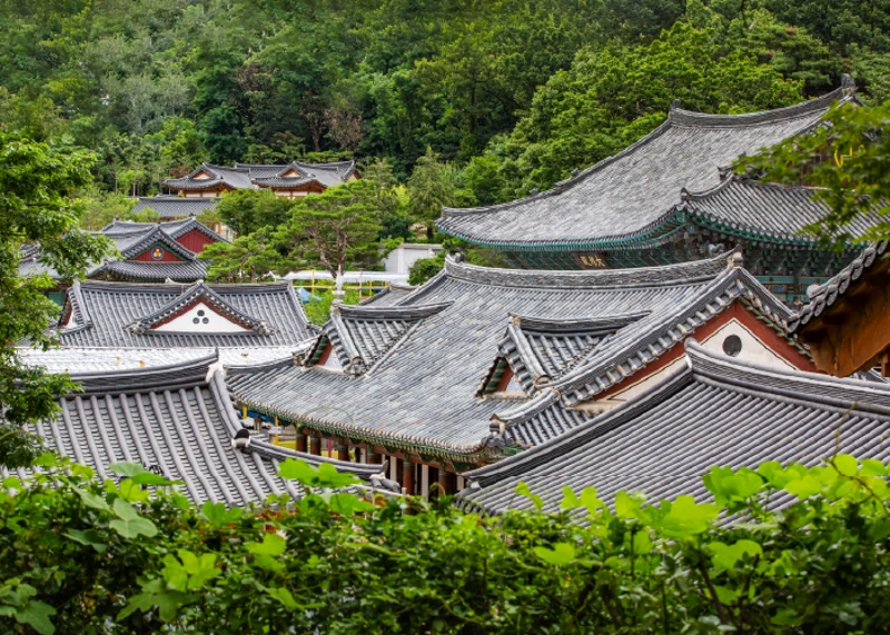 奉恩寺官方场所图片；宗教活动与临时布置以现场为准。