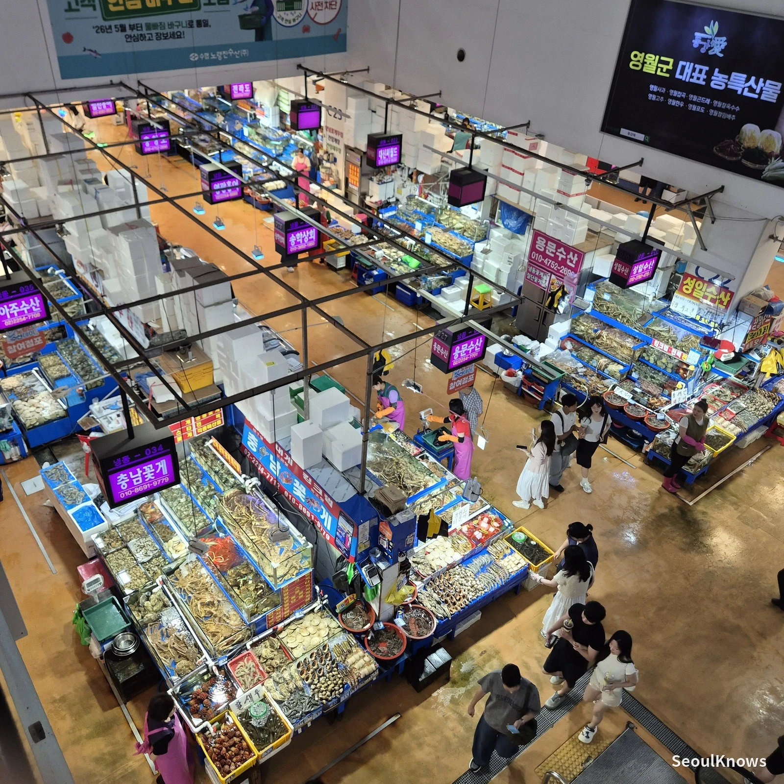鹭梁津现代室内市场实拍，可见水产摊位、店号与过道；不是旧市场照片。