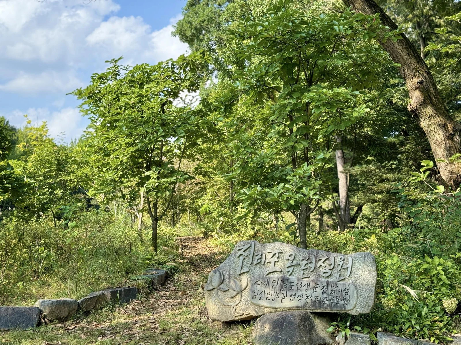 南怡岛官方花园页的绿植、树木与石碑园景；非红叶景象，不代表旅行日叶色或天气。